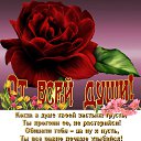 ���� ������, ��������� - ��������� 5 ������ 2014 � ������ ������ ��������