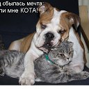 ���� Lisha, ������������, 38 ��� - ��������� 22 ���� 2014 � ������ ������ ��������