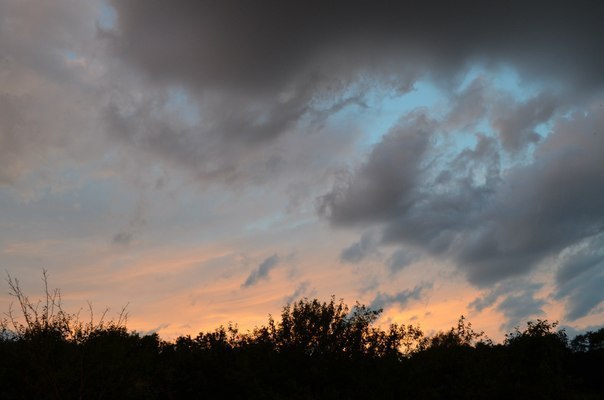   .. - 16  2014  13:00