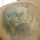 ���� �������� ������, ������, 51 ��� - ��������� 27 ������ 2014