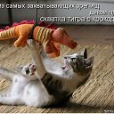 ���� �_�_�_�_�, ������-��-����, 43 ���� - ��������� 15 ��� 2014 � ������ ������ ��������