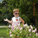 ���� ������, ��������, 37 ��� - ��������� 1 ���� 2014 � ������ ���� ����������