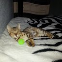 ���� �������, ������, 43 ���� - ��������� 23 ����� 2014