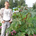 ���� ������, ��������, 43 ���� - ��������� 17 ���� 2014 � ������ ���� ����������