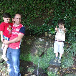 Zviad, �������, 50 ���