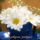 ���� ������, ������ - ��������� 19 ������� 2014 � ������ ������ ��������