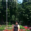 ���� �������, ����� - ��������� 8 ������� 2014 � ������ ���� ����������