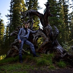 �������, ����������, 39 ���