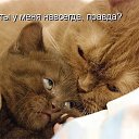 ���� Svetlana, ������������, 54 ���� - ��������� 5 ������ 2014 � ������ ������ ��������