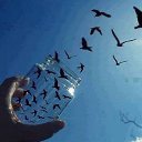 ���� �������, ������ �������, 49 ��� - ��������� 7 ��� 2014 � ������ ������ ��������