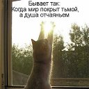 ���� ����, ������, 50 ��� - ��������� 18 ���� 2014 � ������ ������ ��������