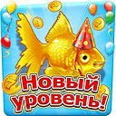 ���� �����, �����������, 35 ��� - ��������� 21 ���� 2014 � ������ ������ ��������