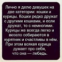 ���� �����, ������� - ��������� 17 ������ 2014 � ������ ������ ��������
