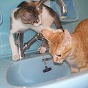 ���� �������, ��������� - ��������� 21 ���� 2014 � ������ ������ ��������