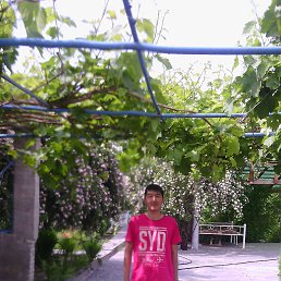 ���� �����, ������, 41 ��� - ��������� 24 ���� 2014