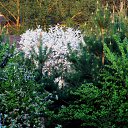 ���� �����, �����, 64 ���� - ��������� 4 ��� 2014 � ������ ������ � �����!�