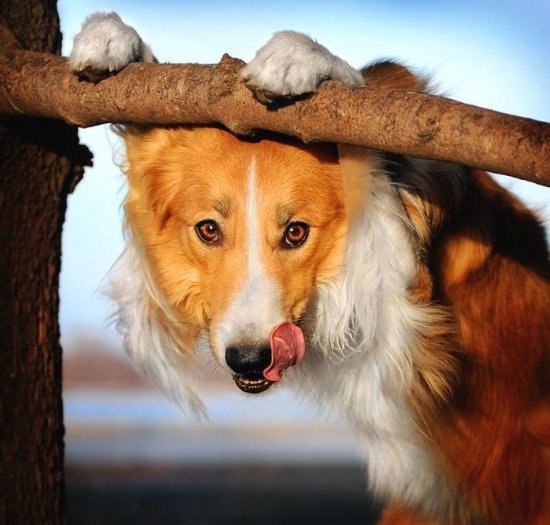 ★    ★ - 14  2014  21:59