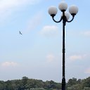 ���� ��������, ������, 53 ���� - ��������� 16 ������� 2014 � ������ ���� ����������