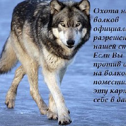 ���� ����, �������, 21 ��� - ��������� 24 ���� 2014