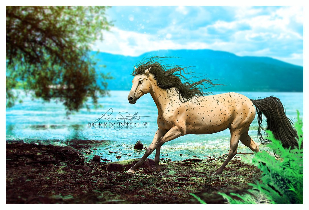 Art & Fun - 13  2014  07:45