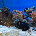  , , 46  -  24  2014      &quot; &quot;