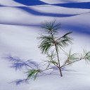 ���� ������, ����������, 66 ��� - ��������� 18 ������� 2014 � ������ ������ ��������