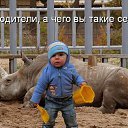 ���� �_�_�_�_�, ������-��-����, 43 ���� - ��������� 15 ��� 2014 � ������ ������ ��������