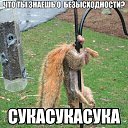 ���� �����, ������, 40 ��� - ��������� 10 ���� 2014 � ������ ������ ��������