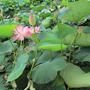 ���� �����, ������, 60 ��� - ��������� 27 ���� 2014 � ������ ���� ����������