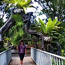 �������, ���� ������))) �� ������� ����� ��� ������������