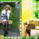 ���� �����, �����������, 41 ��� - ��������� 6 ���� 2014 � ������ ���� ����������