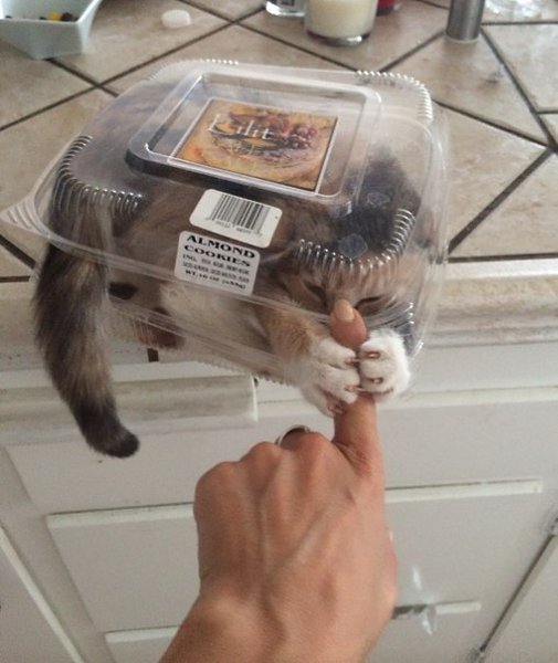 Подписывайтесь и живите с УЛЫБКОЙ! =))) fotostrana.ru/public/233738