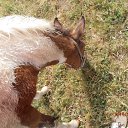 ظ�����... �� ������� ���������ʻ