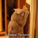 ���� �������, �����������, 62 ���� - ��������� 9 ���� 2014 � ������ �� ������� � ������)))�