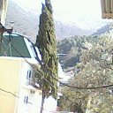 ����� �� ������� ���� ����������