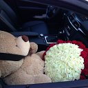 ���� ����, ���������, 31 ��� - ��������� 15 ������ 2014 � ������ ���� ���� ������