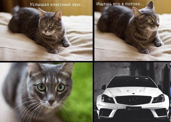 BMW | Mercedes | AUDI - 21  2014  23:32
