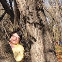 ���� �������, ������, 67 ��� - ��������� 26 ���� 2014 � ������ ���� ����������