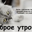 ���� ����, ������, 38 ��� - ��������� 22 ������� 2014 � ������ ���� ����������