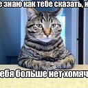 ���� Lisha, ������������, 38 ��� - ��������� 22 ���� 2014 � ������ ������ ��������