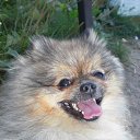 ���� �������, �����-���������, 56 ��� - ��������� 14 ������� 2014 � ������ ���������� ��� ������� ����