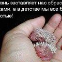 ���� ���� ������, ����������� - ��������� 27 ������ 2014 � ������ ������ ��������