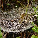 ���� �������, ������ - ��������� 6 ������� 2014 � ������ �1�