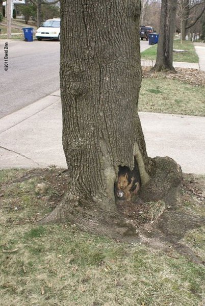    David Zinn