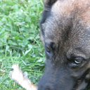  Andrus, , 63  -  21  2014    