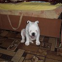 ���� �����, ������������, 48 ��� - ��������� 14 ������� 2014 � ������ ����������