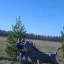 ���� �������, ������, 42 ���� - ��������� 4 ��� 2014 � ������ ���� ����������