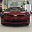 ���� �������, ������, 44 ���� - ��������� 19 ������� 2014