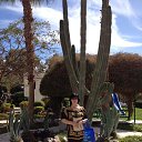 ���� ������, ������, 61 ��� - ��������� 6 ��� 2014 � ������ ���� ����������