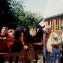 ���� ����, ��������, 35 ��� - ��������� 22 ��� 2014